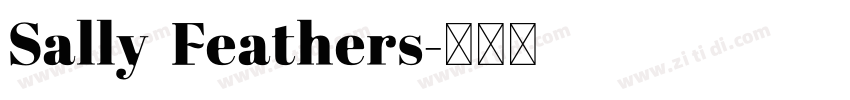 Sally Feathers字体转换